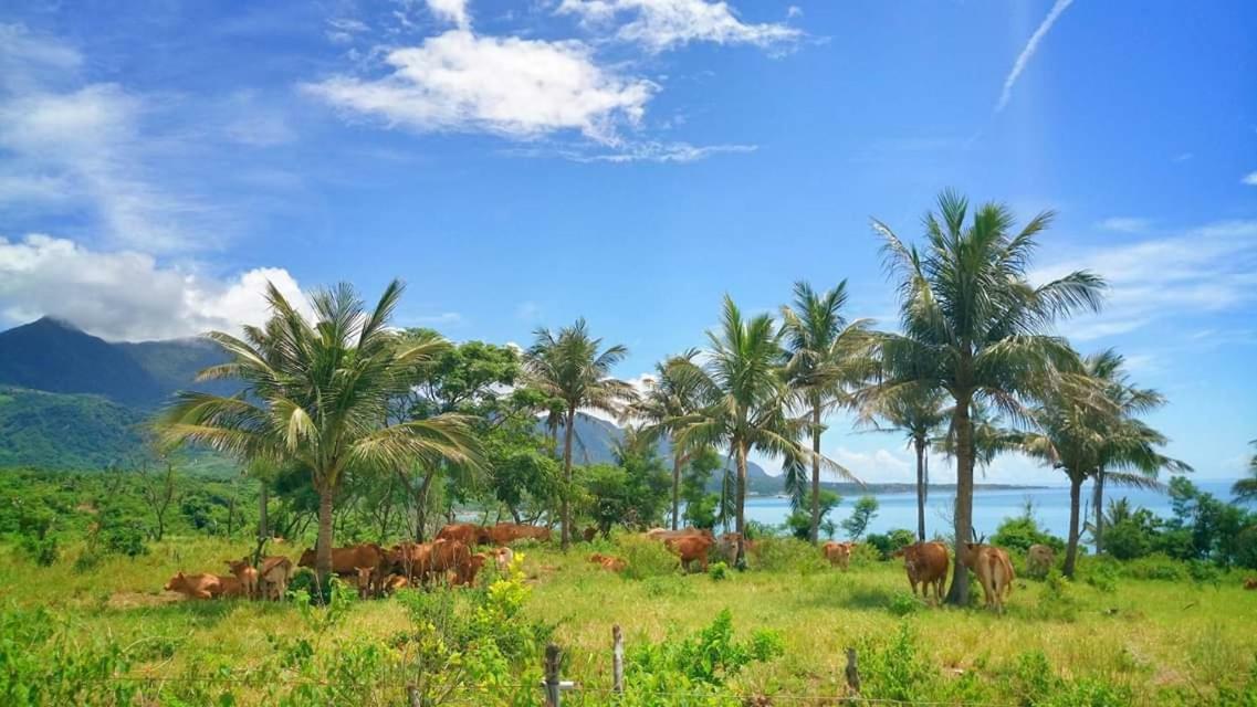Cong Sen Backpackers Hostel Taitung Ngoại thất bức ảnh